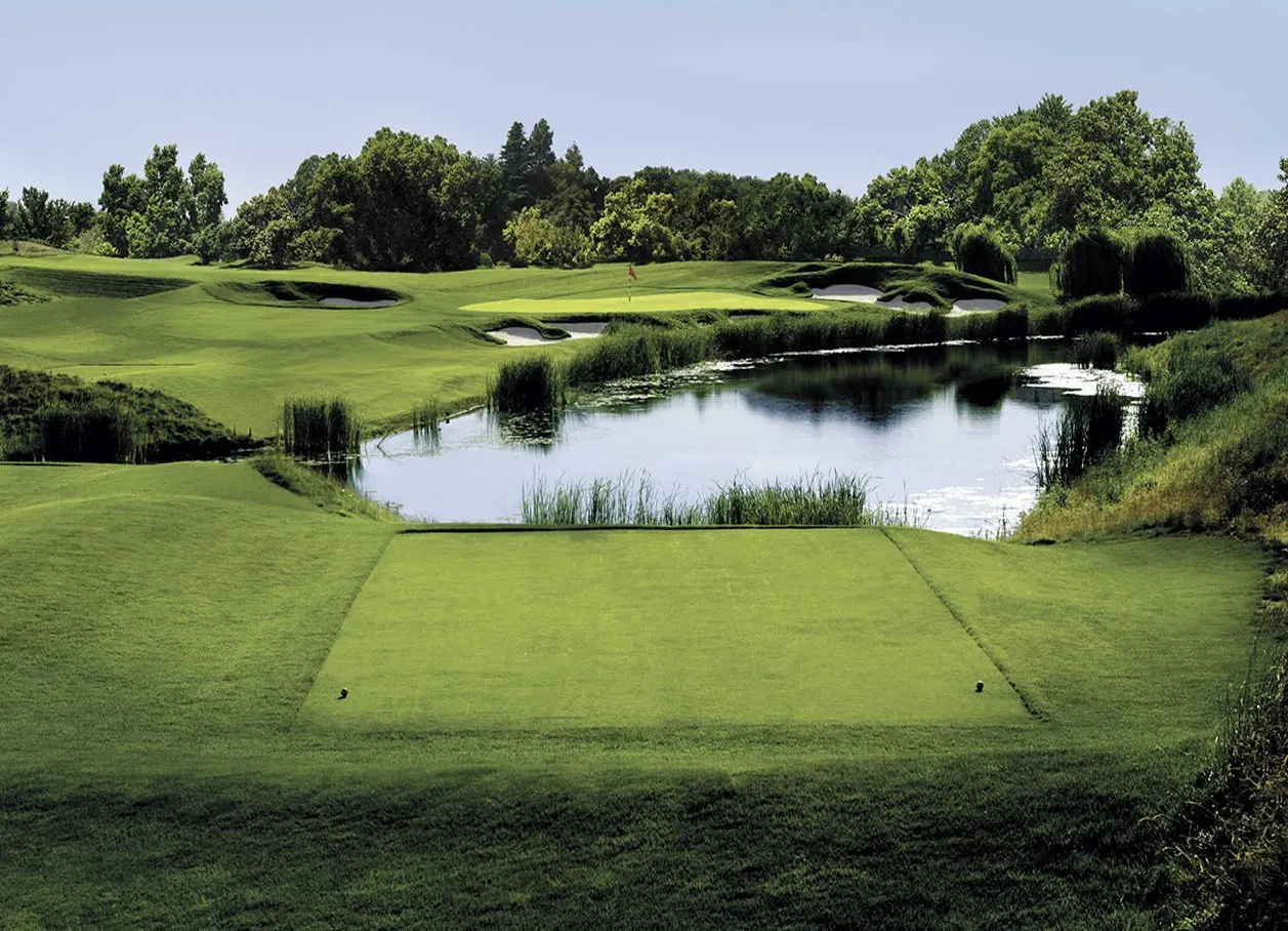 Morgan Creek Golf Course, Roseville, Ca | photograph by Ed Asmus