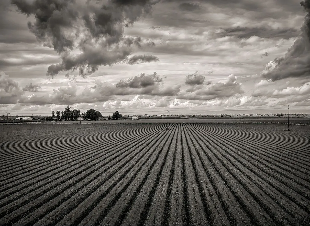 The California Delta | photograph by Ed Asmus