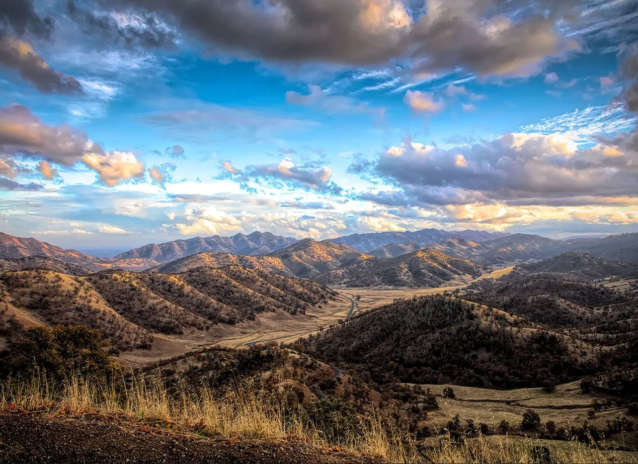 Off of Highway 20, Williams, Ca | photograph by Ed Asmus