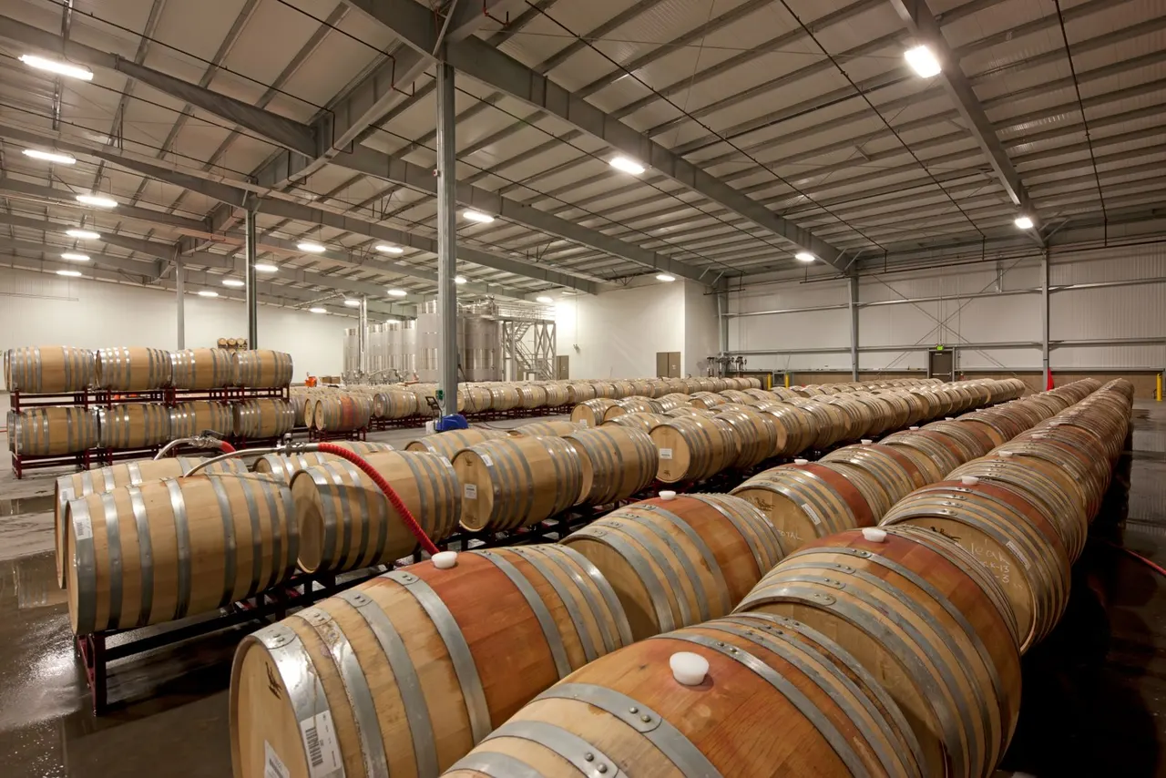 Bogle Winery, Clarksburg, CA | photograph by Ed Asmus