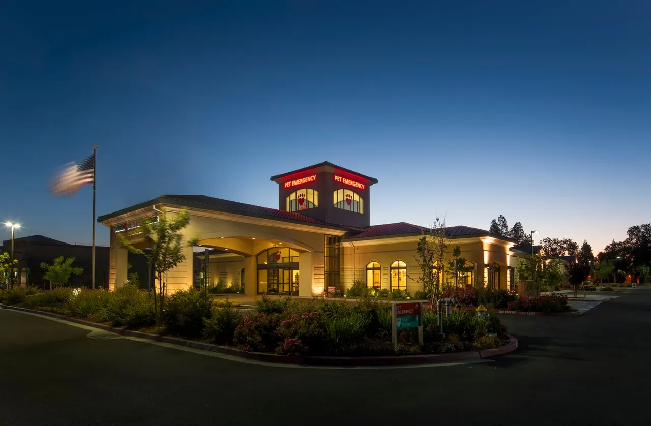 Mueller's Animal Hospital, Sacramento, CA | photograph by Ed Asmus