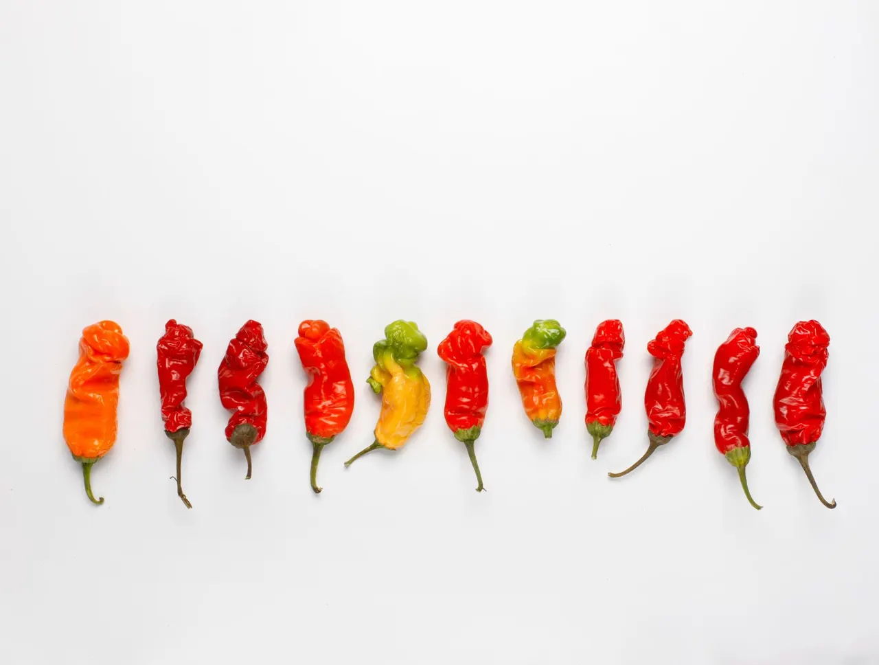 Chili Peppers | photograph by Ed Asmus