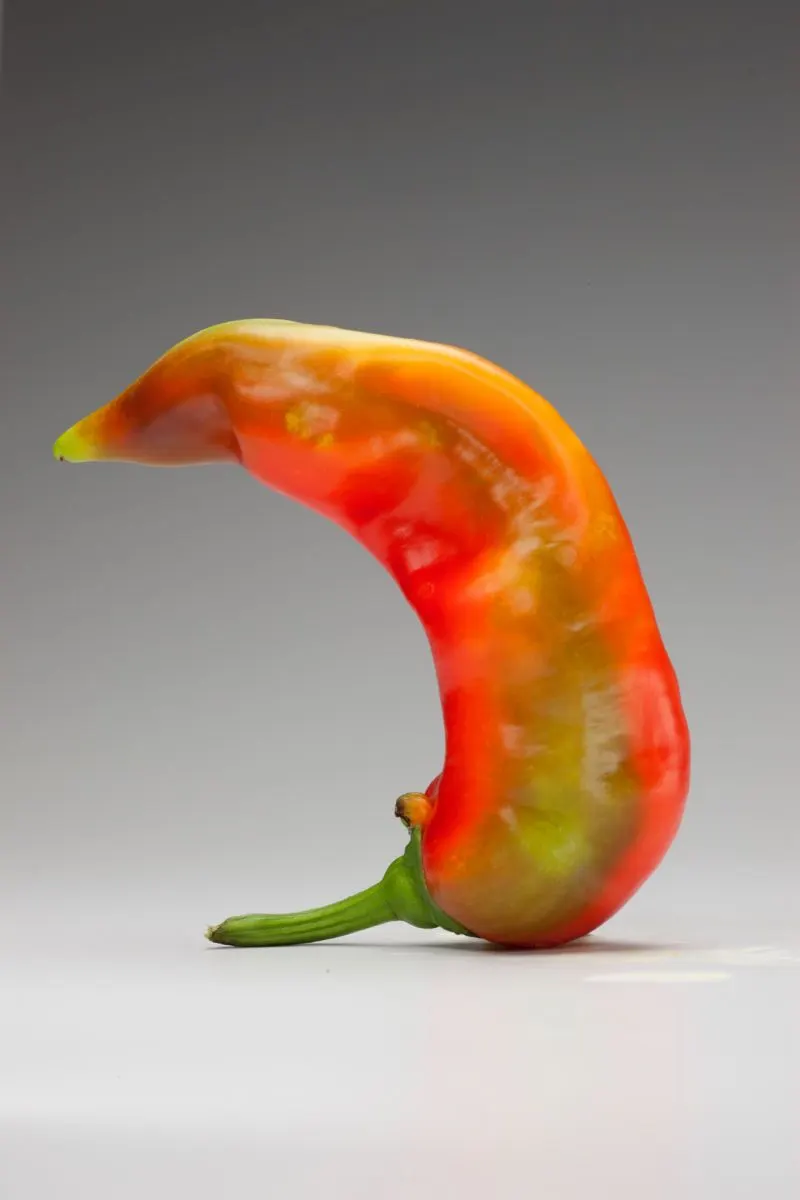 Chili Peppers | photograph by Ed Asmus