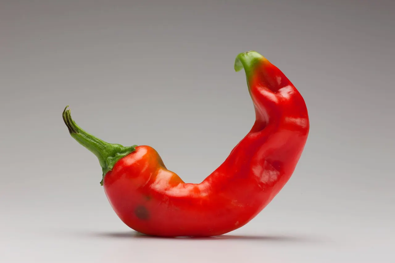 Chili Peppers | photograph by Ed Asmus
