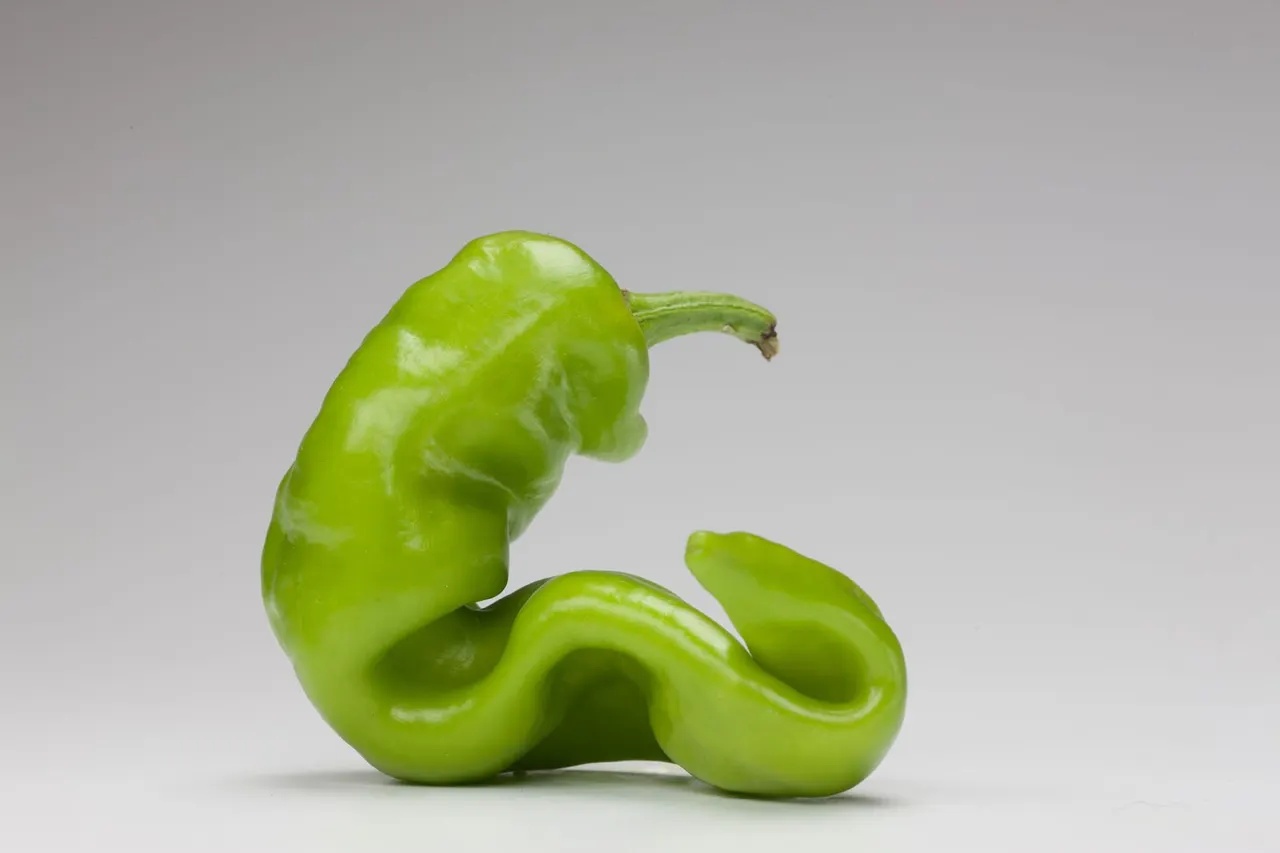 Chili Peppers | photograph by Ed Asmus