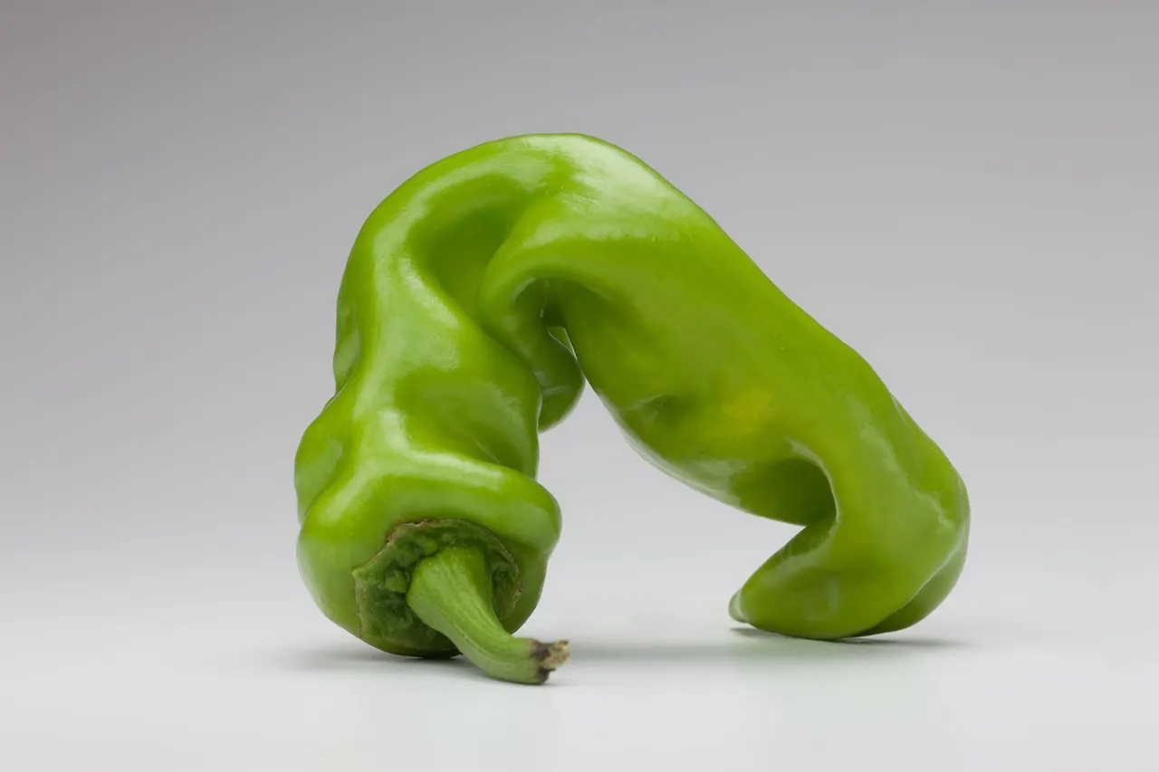 Chili Peppers | photograph by Ed Asmus