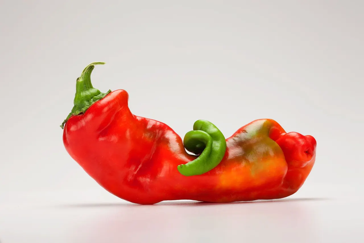 Chili Peppers | photograph by Ed Asmus