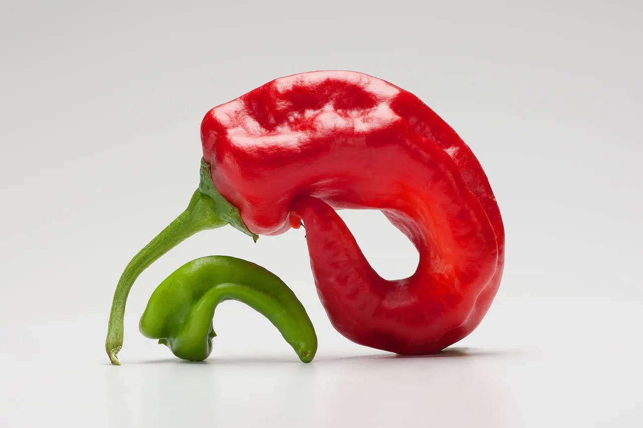 Chili Peppers | photograph by Ed Asmus