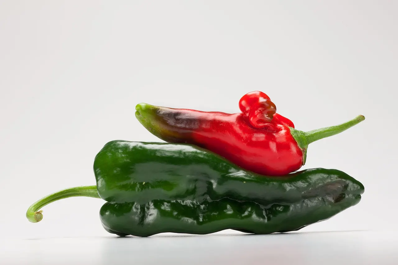 Chili Peppers | photograph by Ed Asmus