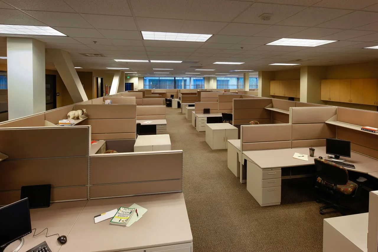 Corporate Interiors, Folsom, Ca. Williams + Paddon Architects | photograph by Ed Asmus