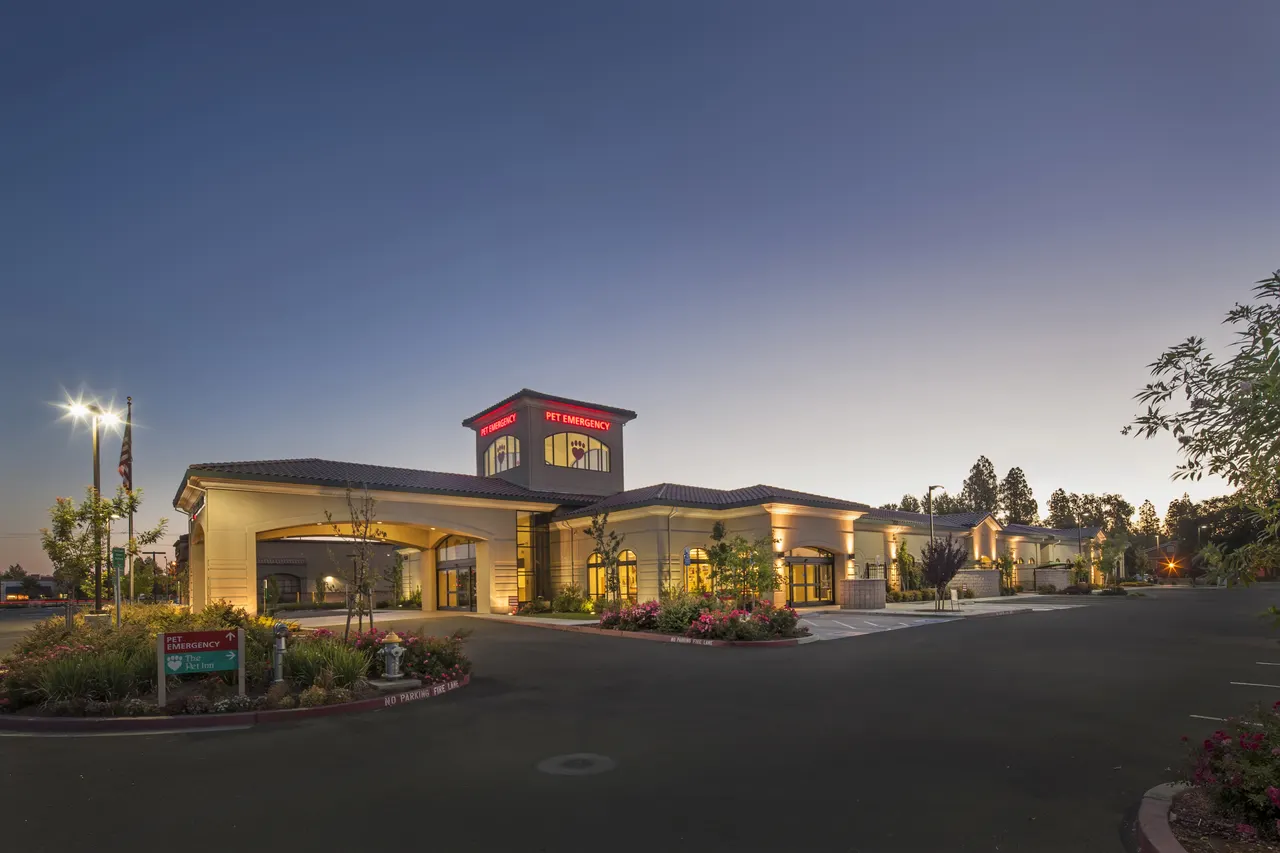 Muellers Animal Hospital, Sacramento, CA | photograph by Ed Asmus